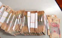 Triệt phá đường dây thầu đề cực lớn tại TP.HCM