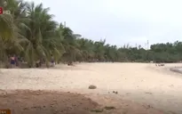 Đà Nẵng đồng ý cho xây kè chống sạt lở tại khu vực biển Tiên Sa
