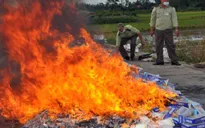 Chỉ đạo của Thủ tướng về việc xử lý thuốc lá nhập lậu bị tịch thu