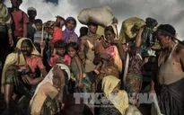 Bangladesh cho phép 10.000 người tị nạn Rohingya nhập cảnh