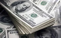 Đồng USD phục hồi nhờ báo cáo việc làm tháng 5 của Mỹ