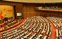 Nhiều đại biểu băn khoăn về tính khả thi của các phương án hỗ trợ doanh nghiệp nhỏ và vừa