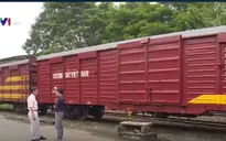 Container lạnh - Cơ hội giảm giá cước, tăng sức cạnh tranh cho hàng hóa