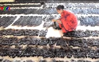 Ngành làm tóc giả Ấn Độ thu hàng trăm triệu USD mỗi năm