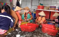 Phát hiện 3 cơ sở bơm tạp chất vào tôm