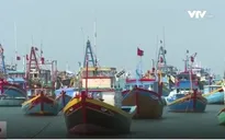 Bình Thuận ra quân dỡ bỏ bẫy tôm hùm