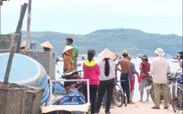 Tôm hùm chết, nhiều hộ dân ở Phú Yên lâm cảnh nợ nần