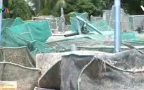 Nhu cầu vốn đầu tư ở vùng nuôi tôm hùm sau bão