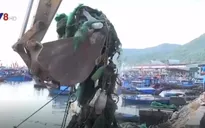 Nha Trang: Tiêu hủy hơn 30 tấn ngư cụ tận diệt tôm hùm