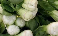 Những thực phẩm ăn chay giàu sắt hơn thịt