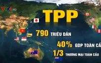 Triển vọng thu hút FDI vào Việt Nam nếu không có TPP