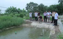 Chuyện về những chủ trang trại trong quá trình hội nhập (17h20, ngày 6/1, VTV1)