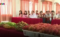 Nông dân miền Tây lập sàn giao dịch trái cây