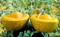 Nhà vườn ĐBSCL chuẩn bị trái cây độc, lạ phục vụ Tết