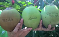 Độc đáo trái cây tạo hình ngày Tết