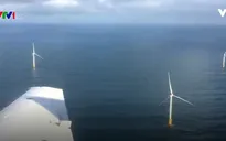 Scotland khai trương trang trại gió đầu tiên trên biển