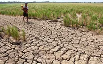 UNICEF hỗ trợ dự án giảm nhẹ rủi ro thiên tai