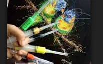 Nữ y tá trẻ tạo ra các bức tranh sống động từ kim tiêm