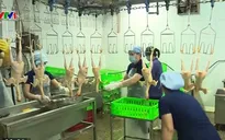 Mở rộng kiểm tra vệ sinh thức ăn hàng rong vỉa hè