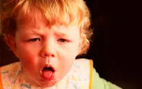 Khi trẻ ho có nên ăn tôm, thịt gà và những lưu ý "vàng" với cha mẹ