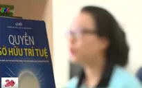 Thực thi quyền sở hữu trí tuệ: Liệu có "bắt chuột, thả voi"?