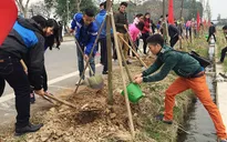 Hà Nội phấn đấu trồng mới 350.000 cây xanh trong năm 2018