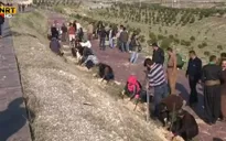 Người dân Iraq trồng cây để cải thiện chất lượng không khí