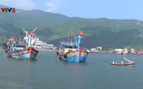 Đà Nẵng còn 20 phương tiện đang hoạt động trên biển