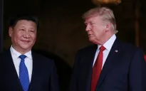 Chủ tịch Tập Cận Bình gặp Tổng thống Trump: Sự kiện quốc tế nổi bật trong tuần
