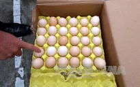 Bắt giữ nhiều thực phẩm không rõ nguồn gốc