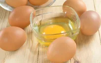 Điều chế thuốc chữa ung thư trong trứng gà
