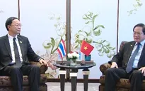 Thúc đẩy hợp tác về công nghệ thông tin Việt Nam - Thái Lan