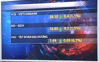 Chứng khoán trong nước lội ngược dòng