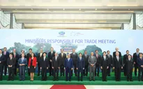 Thủ tướng tiếp các trưởng đoàn dự Hội nghị Bộ trưởng Thương mại APEC