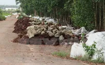 Phát hiện hàng nghìn bao chất thải giữa rừng tràm Đồng Nai