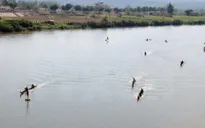 Kon Tum: Doanh nghiệp ngang nhiên đắp đập, chặn sông để hút cát