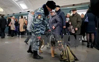 Nga: Nổ bên ngoài thư viện St. Petersburg, 1 người bị thương
