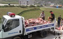 Cao Bằng: Thu giữ hơn 2 tấn thịt lợn không rõ nguồn gốc