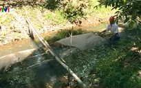Vĩnh Long dùng túi chứa nước ứng phó hạn mặn
