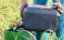 Dung dịch lạ người dân Vĩnh Phúc tưới cho hoa màu có nguồn gốc từ đâu?