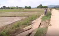 Đăk Lăk: Tuyến đê bao Quảng Điền sạt lở nghiêm trọng