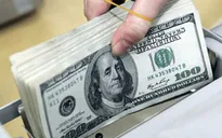 Giá USD tại nhiều ngân hàng thương mại tăng mạnh, giá vàng lao dốc