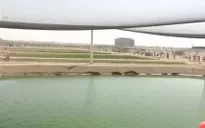 Nông nghiệp trên sa mạc tại UAE