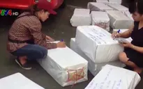 Chương trình thiện nguyện Vòng tay nhân ái tại CHLB Đức