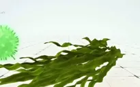 Tìm ra phương pháp chữa ung thư bằng ánh sáng