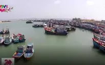 Ngư dân miền Trung mở biển đầu năm mới