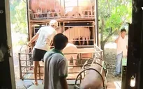 Giá thịt lợn hơi tại Đồng Nai có dấu hiệu tăng nhẹ