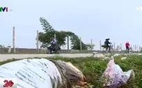 Hãi hùng "con đường rác" tại Phú Thọ