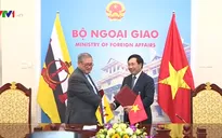 Tăng cường hợp tác toàn diện Việt Nam - Brunei