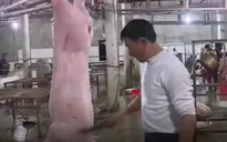 Thực hư bên trong lò giết mổ treo: Sạch hay bẩn?